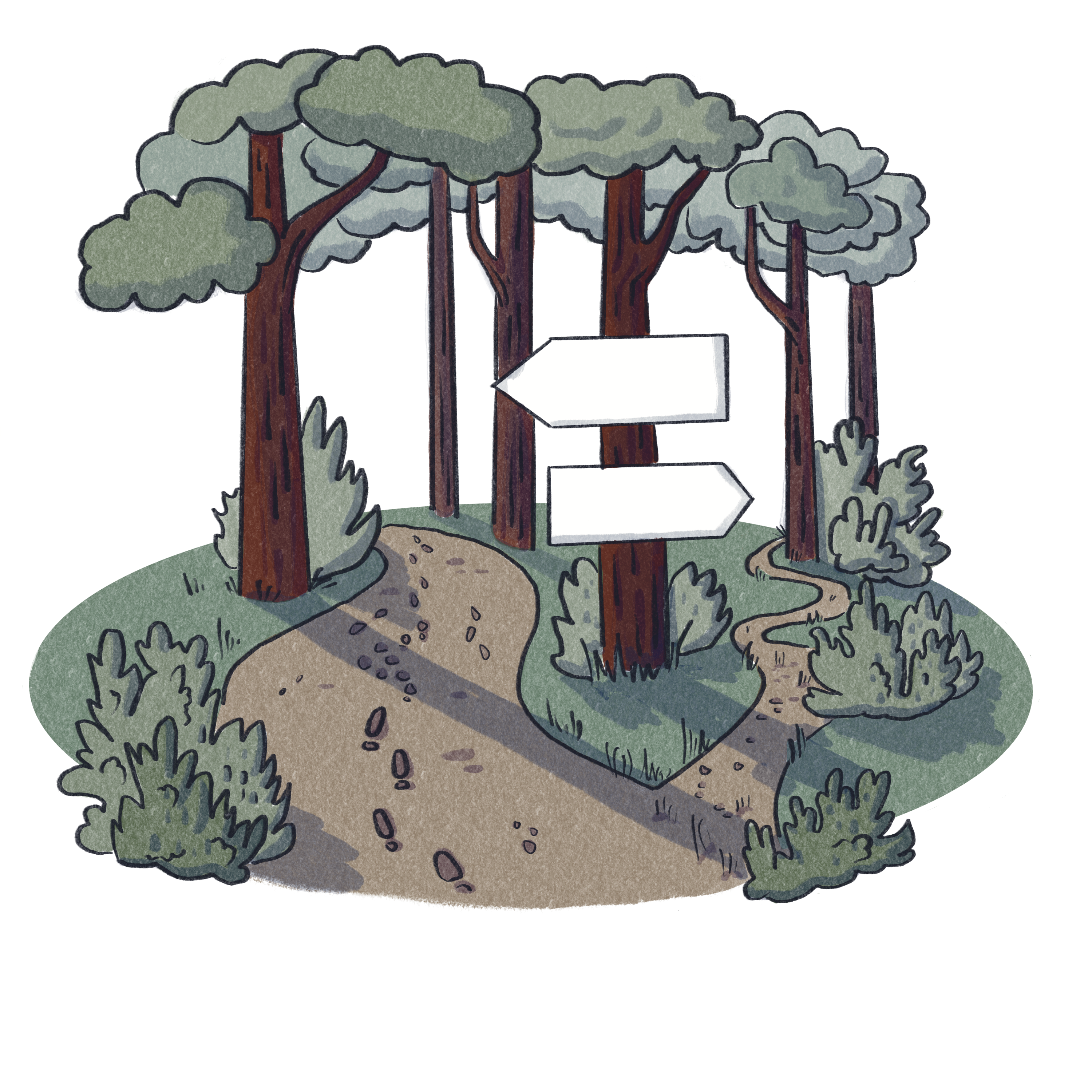paths